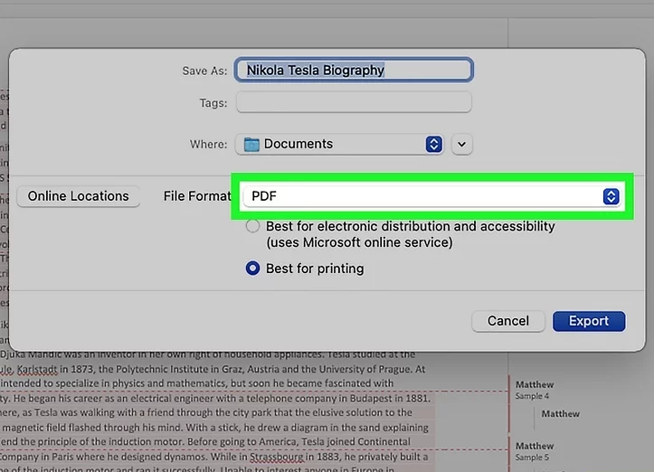 6. Select PDF Format  