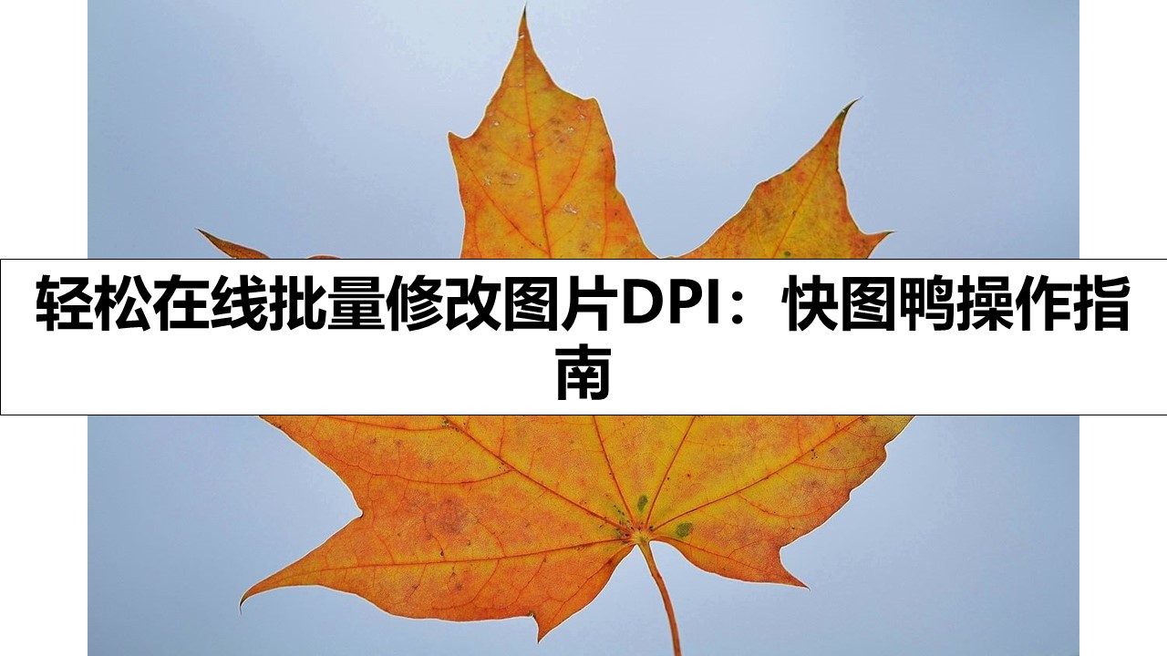 轻松在线批量修改图片DPI：快图鸭操作指南