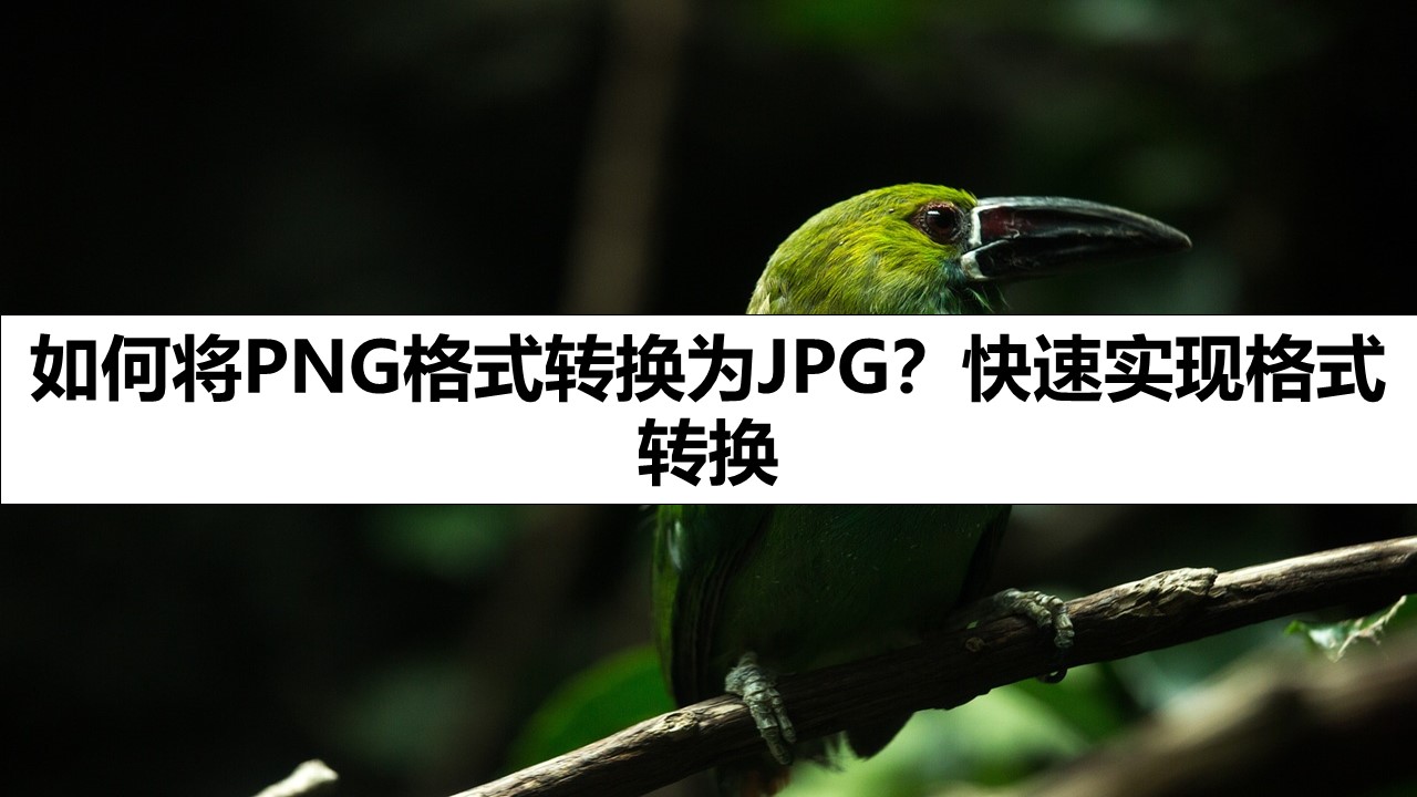 如何将PNG格式转换为JPG？快速实现格式转换
